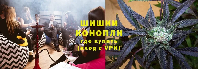 darknet как зайти  Касимов  Шишки марихуана SATIVA & INDICA  mega зеркало 